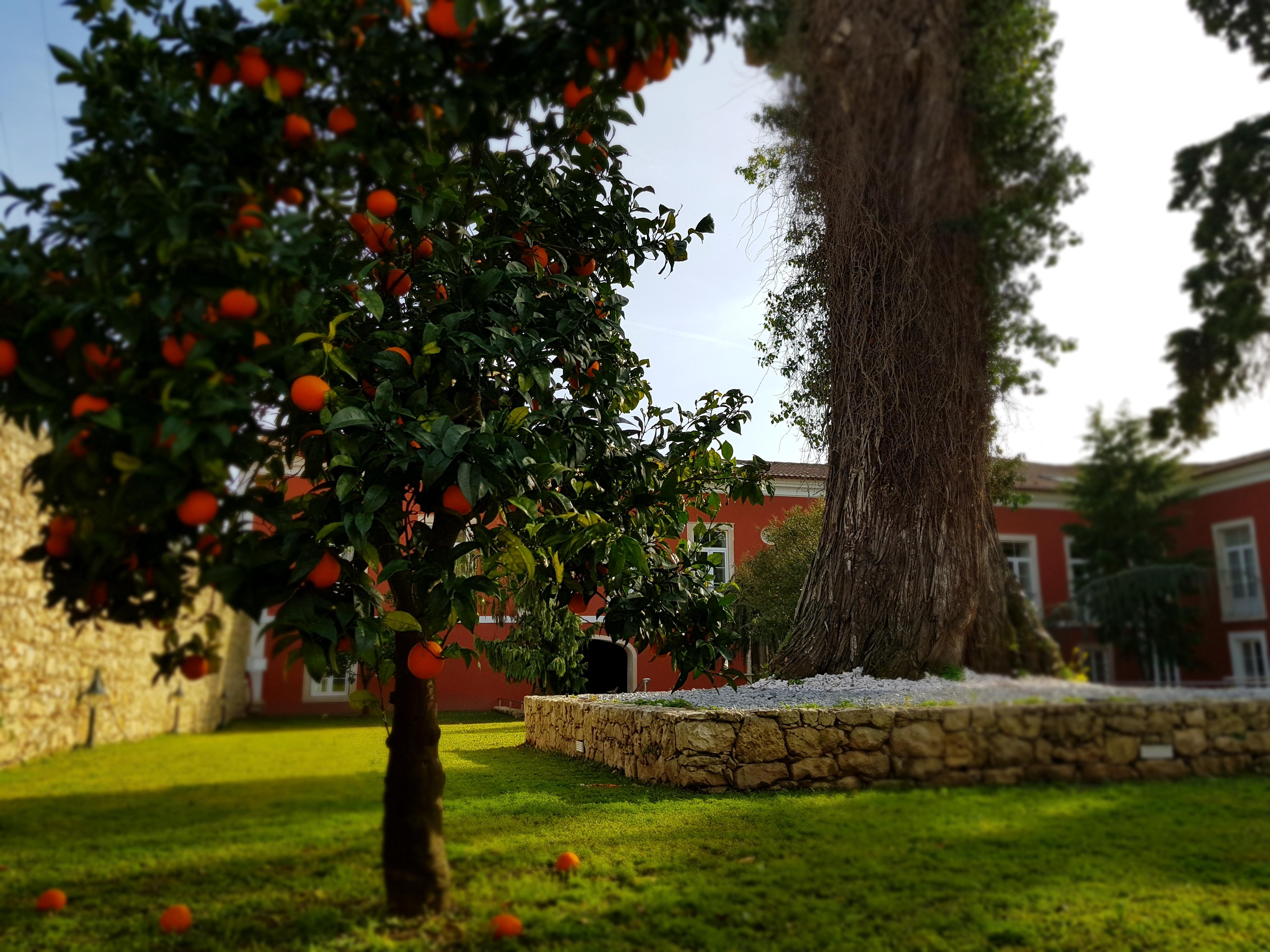 Palacio Sao Silvestre-Boutique Hotel Coimbra Buitenkant foto